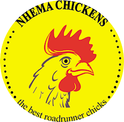 Nhemachickens